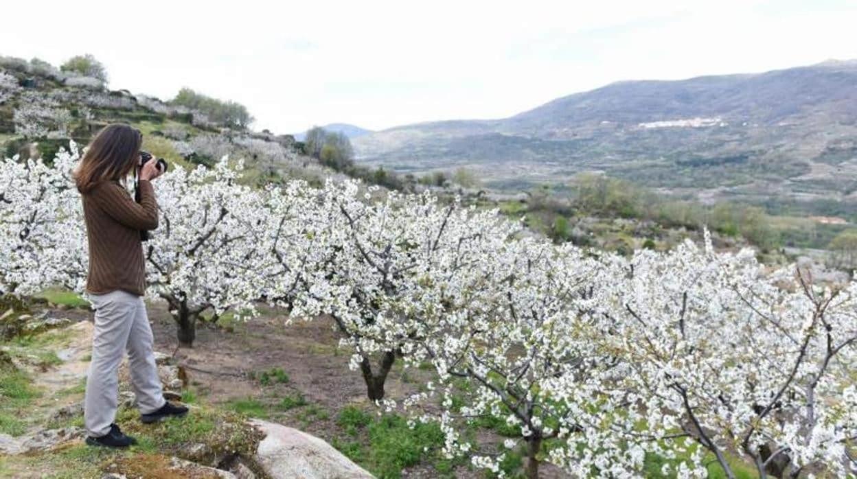 El Rincon De Markesa Plasencia Exterior foto